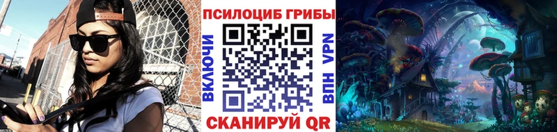 Галлюциногенные грибы Psilocybine cubensis  Брюховецкая 