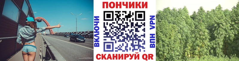 Марихуана план  Брюховецкая 